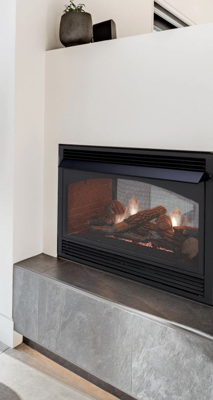Empire Comfort Systems 36" Vail Premium Vent-Free See-Through Firebox VFP36