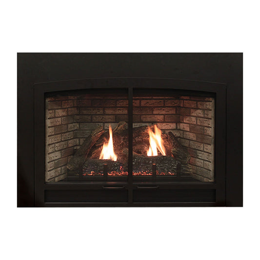 Empire Comfort Systems Innsbrook Small Clean-Face Direct-Vent Traditional Insert DVC20IN
