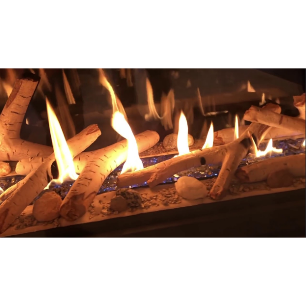 Napoleon Vector 50" See Thru Direct Vent Gas Fireplace LV50N2-2