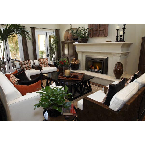 Sierra Flame Abbot 30" Direct Vent Gas Insert ABBOT-30