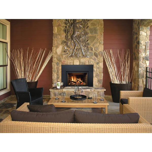 Sierra Flame Abbot 30" Direct Vent Gas Insert ABBOT-30