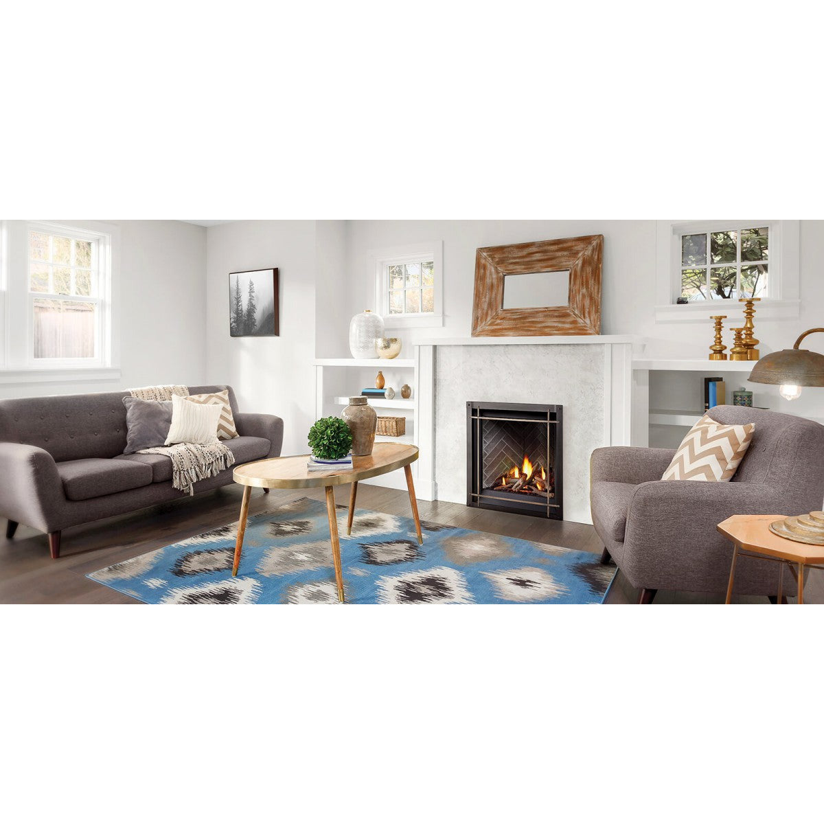 Napoleon 42" Altitude X Direct Vent Gas Fireplace AX42