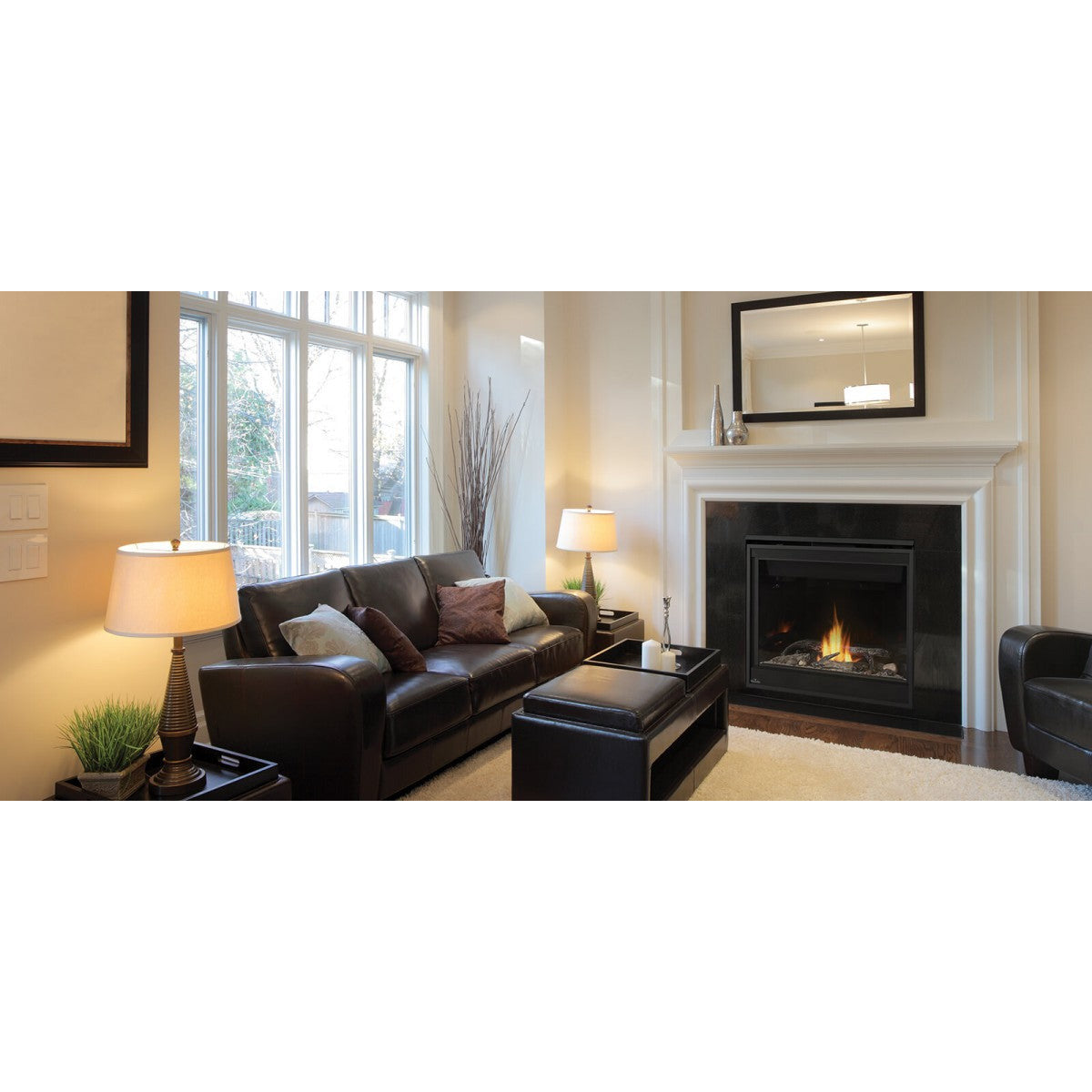 Napoleon Ascent 36" Direct Vent Gas Fireplace B36