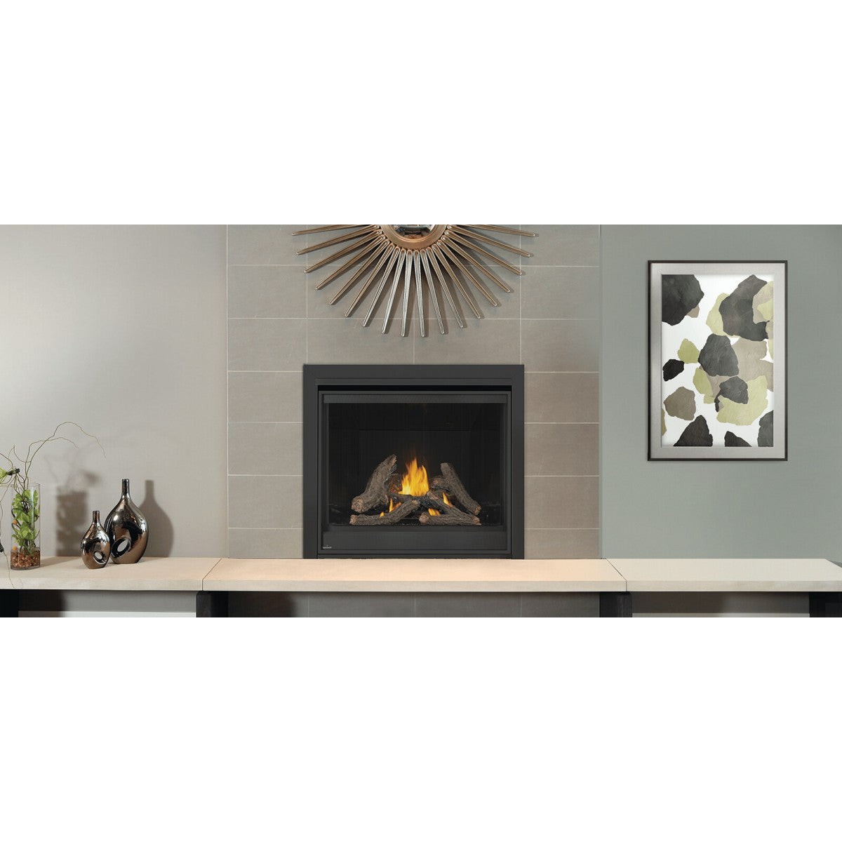 Napoleon Ascent Deep Series 42" Direct Vent Gas Fireplace D42