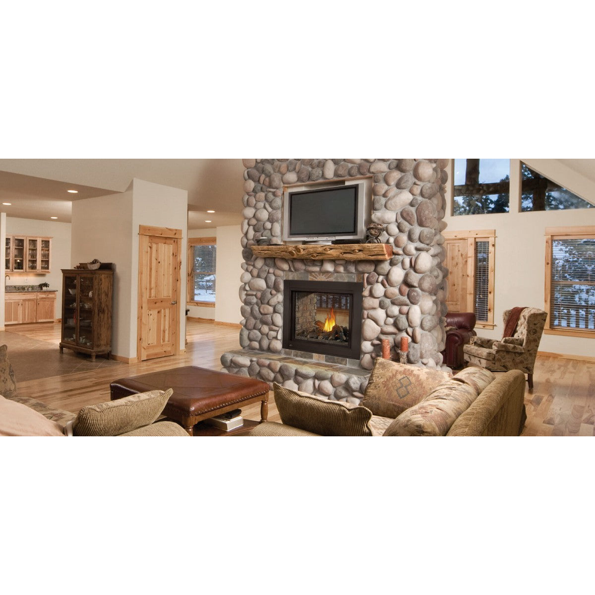 Napoleon Ascent Multi-View See-Thru Direct Vent Gas Fireplace BHD4ST