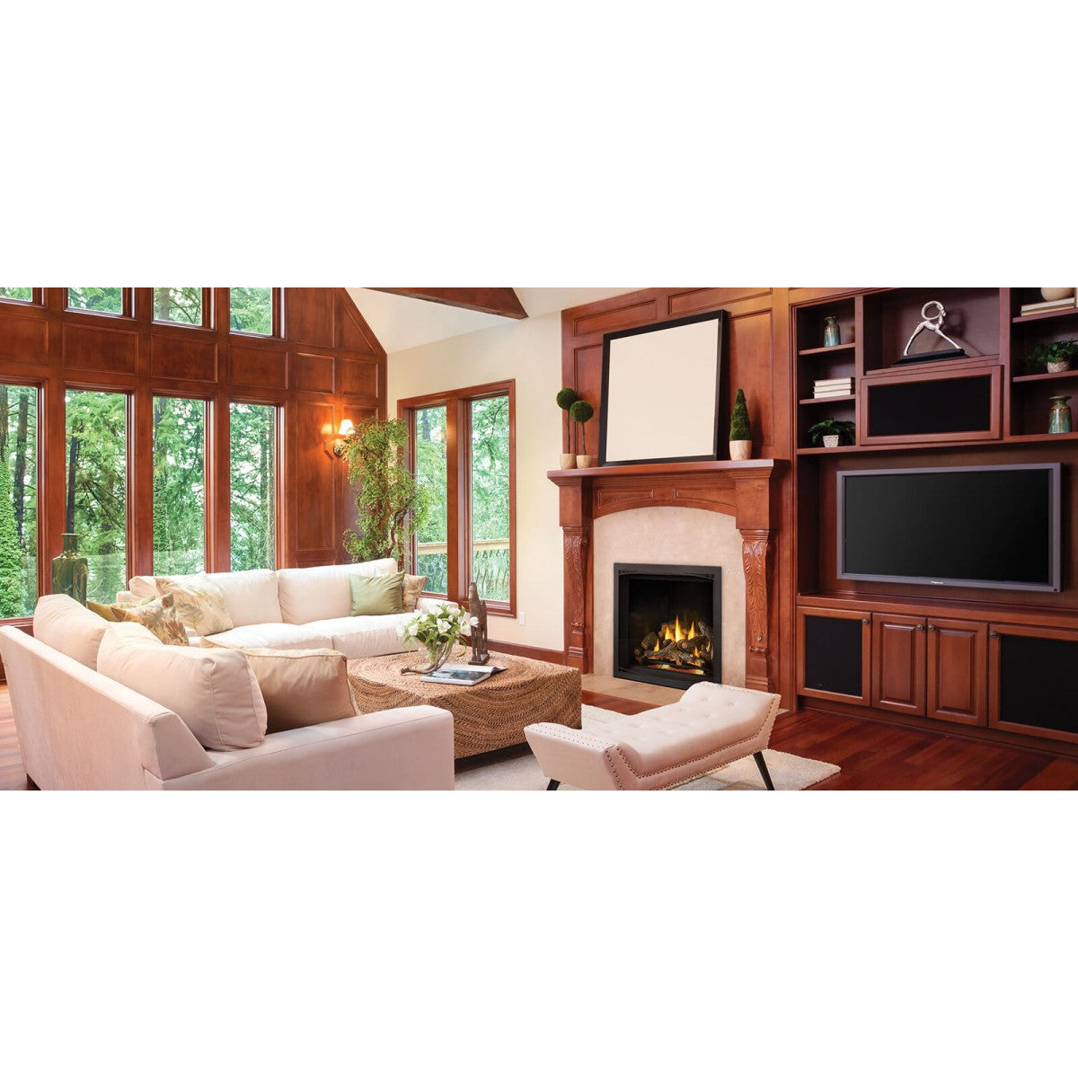 Napoleon 42" Elevation X Series Direct Vent Gas Fireplaces EX42