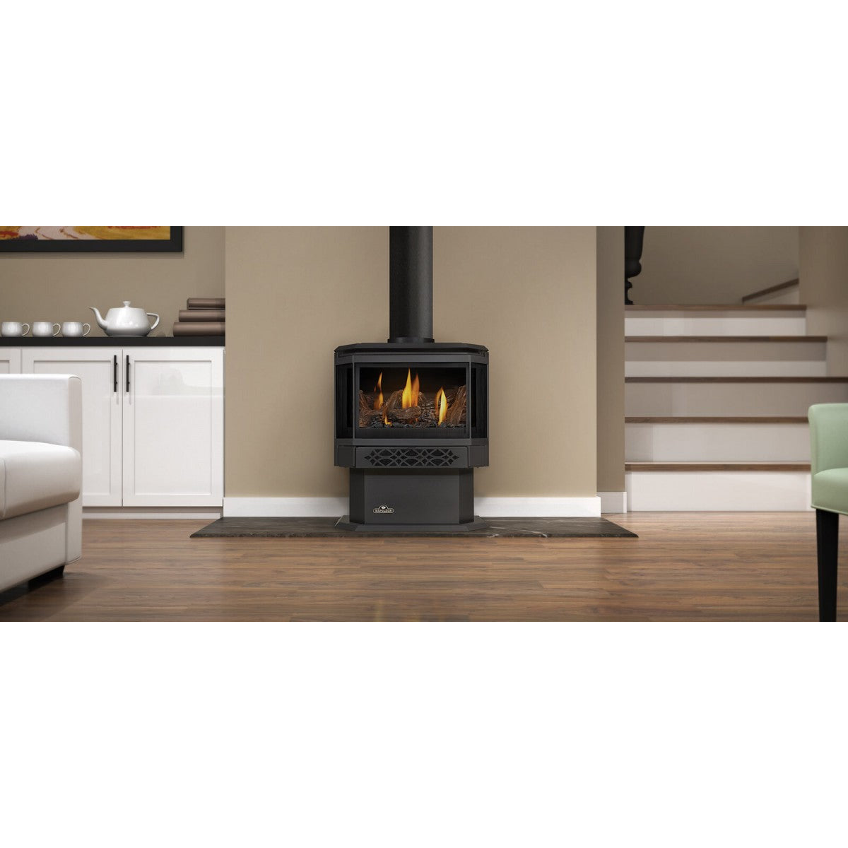 Napoleon Haliburton Direct Vent Gas Stove GDS28-1