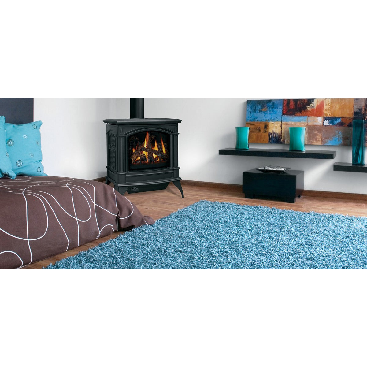 Napoleon Knightsbridge Direct Vent Gas Stove GDS60-1