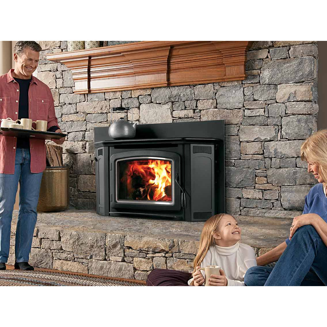 Iron Strike Montlake 300 Wood Burning Fireplace Insert ML300GL