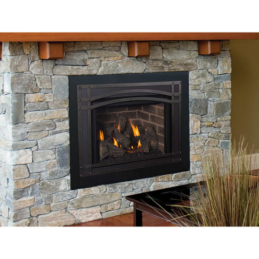 Iron Strike Madison Park 34 Gas Fireplace Insert MPDVI34