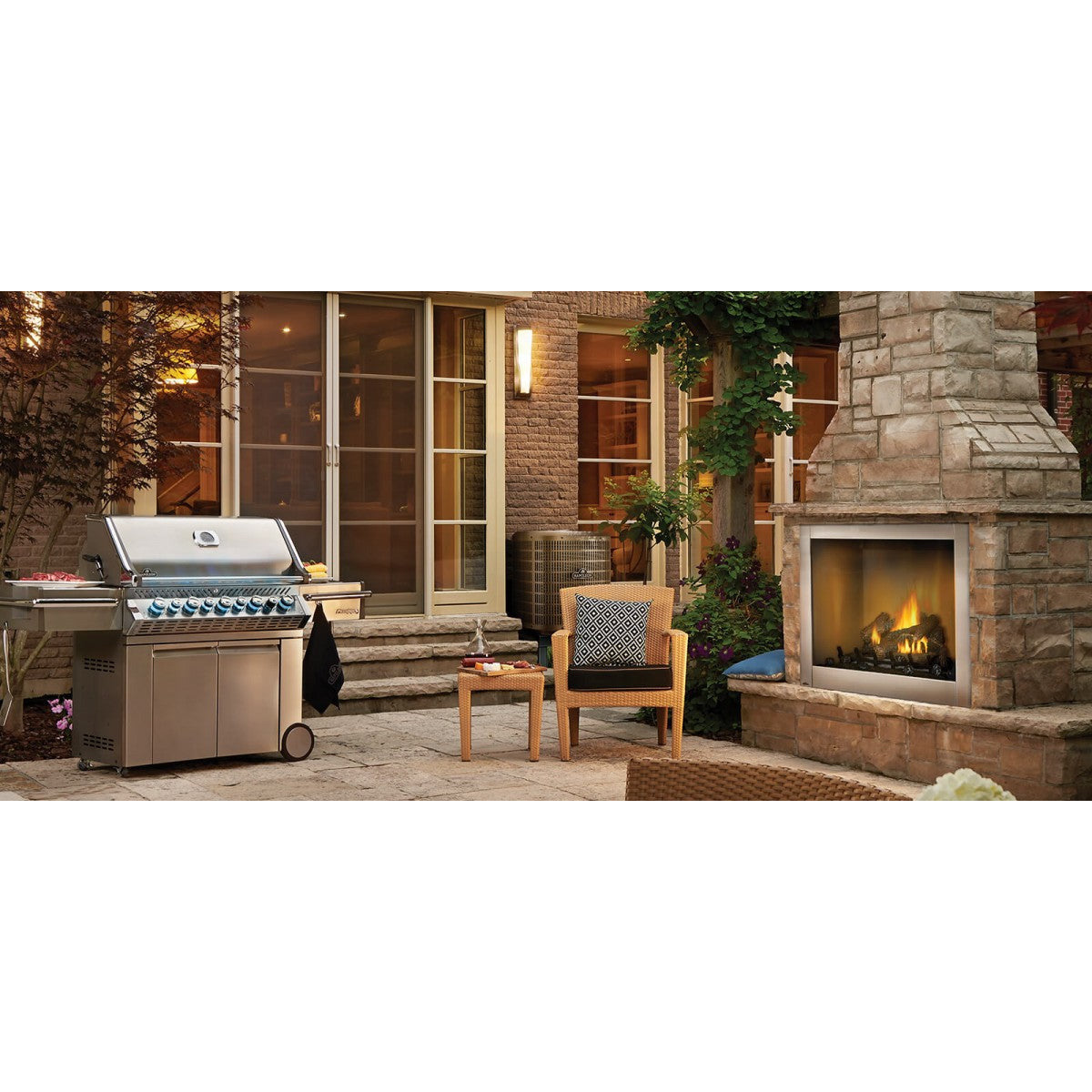 Napoleon Riverside 42" Clean Face Outdoor Gas Fireplace GSS42CFN