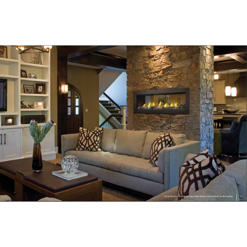 Napoleon Ascent Series 42" Linear Premium Direct Vent Gas Fireplace BLP42NTE