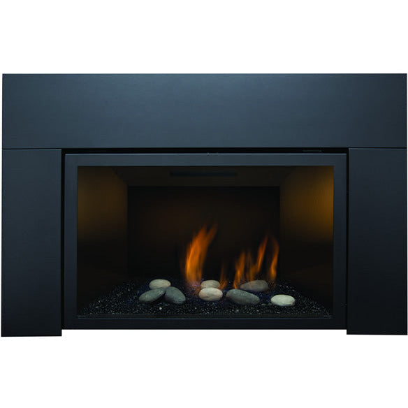 Sierra Flame Abbot 30" Direct Vent Gas Insert ABBOT-30