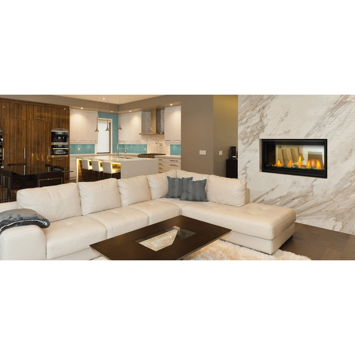 Napoleon Vector Series 38" See Thru Direct Vent Gas Fireplace LV38N2-1