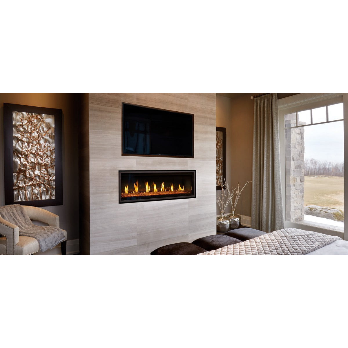 Napoleon Vector 50" Direct Vent Gas Fireplace LV50N-2