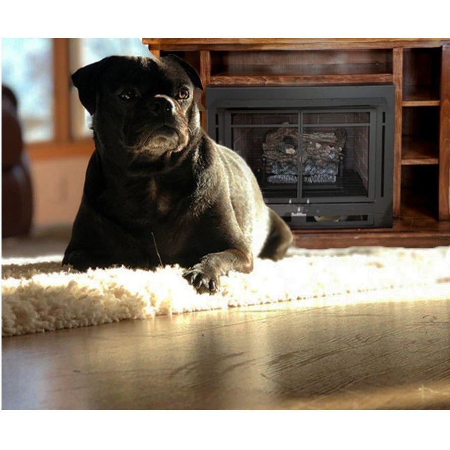 Buck Stove Manhattan 34 Zero Clearance Gas Stove NV 344EB