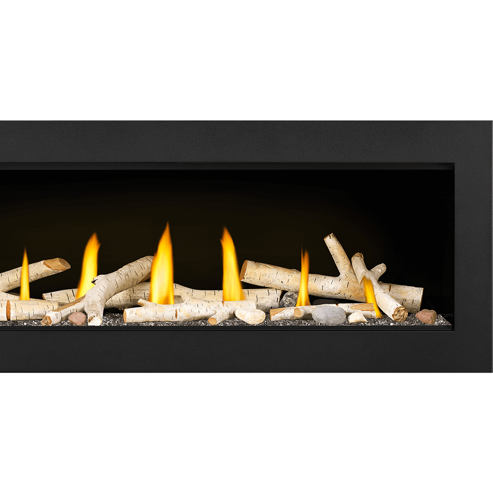 Napoleon Vector 50" Direct Vent Gas Fireplace LV50N-2