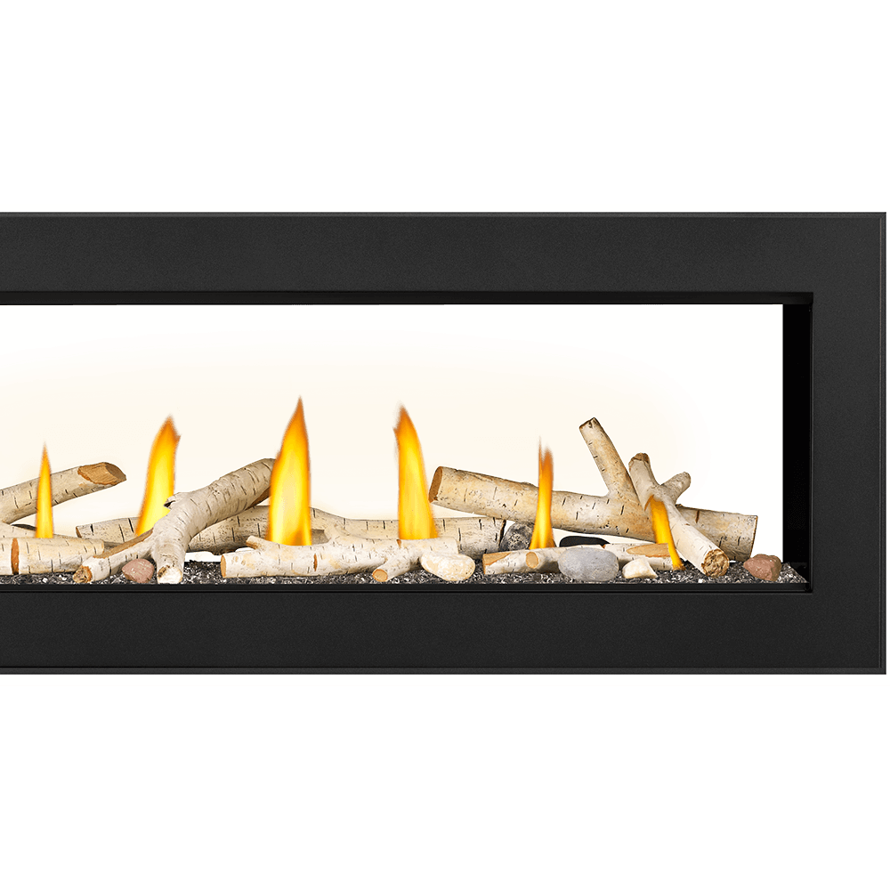 Napoleon Vector 50" See Thru Direct Vent Gas Fireplace LV50N2-2