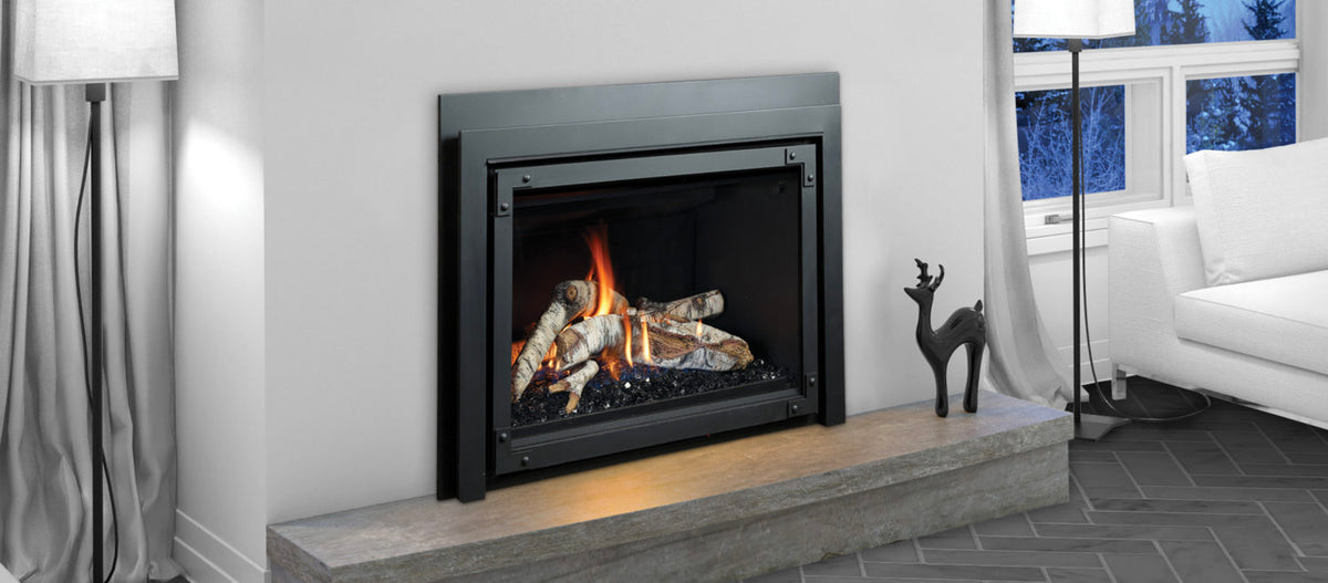 Marquis Capri 44" Direct Vent Fireplace Insert IDV44