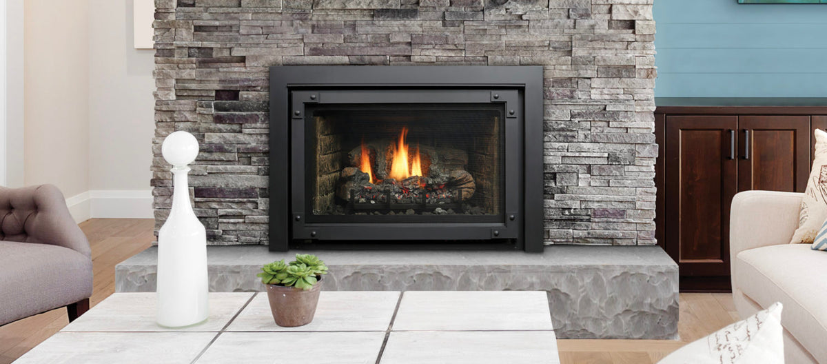 Marquis Capri 24" Direct Vent Fireplace Insert IDV24