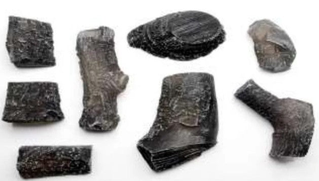 Large Log Chips LOGCHIPS-LG