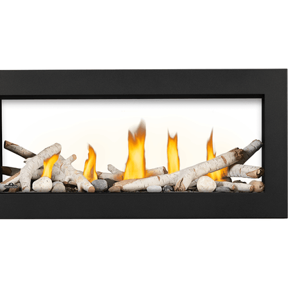 Napoleon Vector Series 38" See Thru Direct Vent Gas Fireplace LV38N2-1