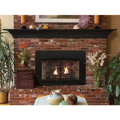 American Hearth Franklin Small Clean-Face Direct-Vent Traditional Insert DVC20IN
