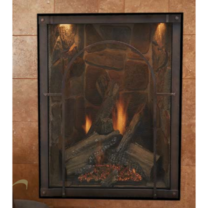 Empire Comfort Systems Forest Hills Traditional Direct Vent Fireplace DVTL27FP90